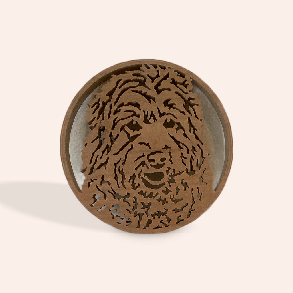 Labradoodle